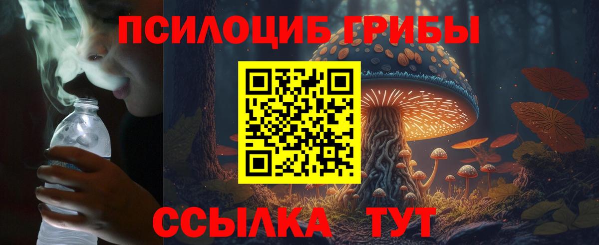 Галлюциногенные грибы мицелий  Вход с VPN  где купить   Долгопрудный 