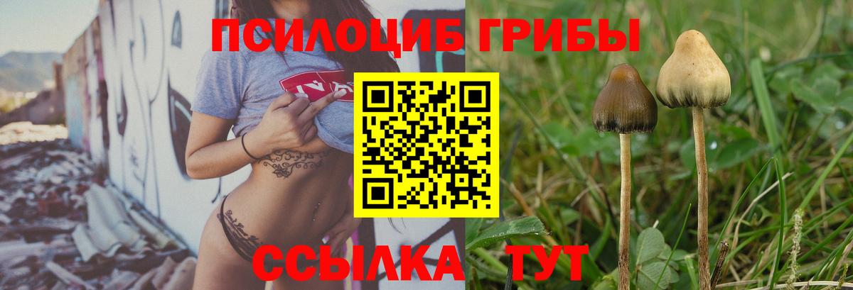 Галлюциногенные грибы мицелий Долгопрудный